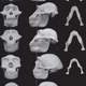 Illustration for article titled Did Male Faces Evolve To Take A Punch?